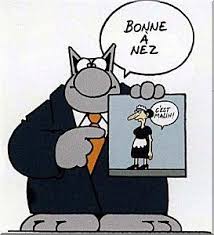 Un autre chat